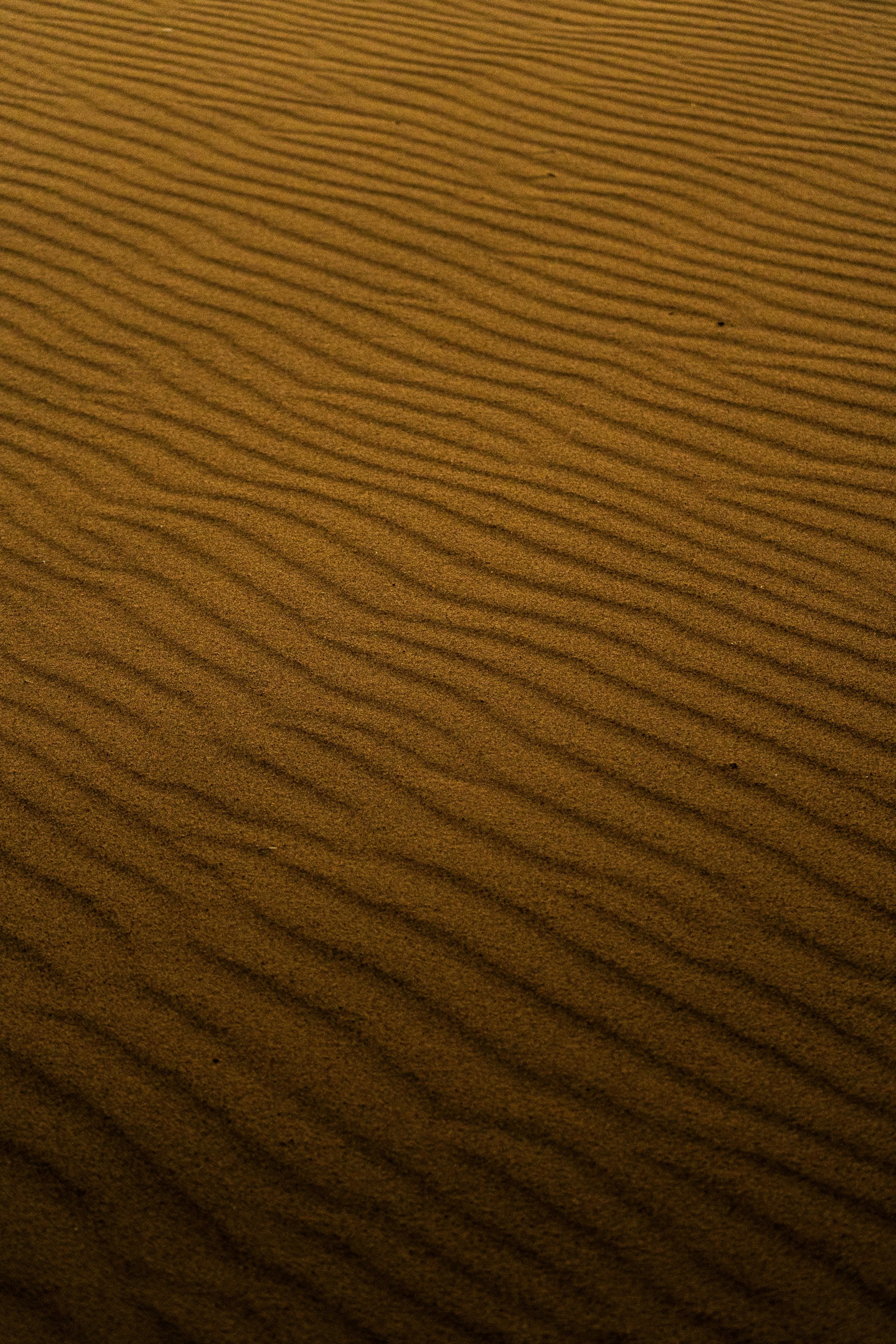 Cortexa - Votre second cerveau intelligent